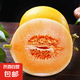 甘肅民勤沙漠蜜瓜新鮮采摘產(chǎn)地發(fā)貨 帶箱2斤  凈重1.5-2斤  1個(gè)瓜