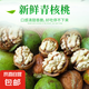 2025新鮮核桃青皮濕嫩生核桃恒暢現(xiàn)摘綠薄皮核桃仁整箱核桃 凈重9斤家庭裝