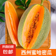 山東西州蜜哈密瓜 頭茬新鮮現(xiàn)摘網(wǎng)紋哈密瓜水果整箱 哈密瓜凈重2-3斤1-2個(gè)