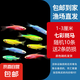 七彩斑馬魚魚苗好養(yǎng)耐活孔雀魚糖果小魚綠色斑馬魚熒光魚缸小型家用繁殖 短尾斑馬1-3厘米隨機10條送2條防損