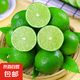 塔西提無籽青檸檬批發(fā)薄皮新鮮香水檸檬皮薄多汁 2斤裝40g起