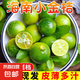 海南小金桔青金桔檸檬莫吉托新鮮水果奶茶店專用調(diào)味品單果5g-10g 海南青金桔2斤