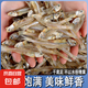 小魚干干貨北海特產(chǎn)咸銀魚公魚自制風干海燕魚曬干無海鮮鹽海燕魚 海燕魚干250g