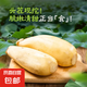 微山湖新鮮蓮藕脆嫩多汁現(xiàn)發(fā)當(dāng)季鮮藕下酒菜 清甜涼拌 精品蓮藕-3斤