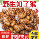 【自營(yíng)】25年新鮮野生金蟬新鮮知了猴大鮮活金蟬爬叉新鮮速凍 一斤裝（90-100個(gè)） 金蟬/知了猴