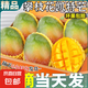 四川攀枝花凱特芒 單果400g起新鮮水果甜芒果水果現(xiàn)摘時(shí)令生鮮 4.5斤凈重600g起