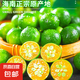 海南青金桔鮮小金桔薄皮奶茶店專用小青柑原產(chǎn)地新鮮直發(fā) 2斤大果【一塊錢硬幣大小】 手工精選-【海南小金桔】