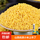 山西黃小米 油小米 月子米黃米粟米雜糧山西特產當季新米 黃小米250g