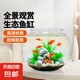 高清魚缸 生態(tài)缸桌面溪流缸迷你金魚缸小型水族箱養(yǎng)魚龜缸PET 中號魚缸【超清8K高透/摔不碎/久用不糊】