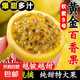 廣西欽蜜9號黃金百香果 單果45g+新鮮現(xiàn)摘水果當季現(xiàn)摘百香果整箱 1斤裝 凈重（多件合并發(fā)貨）