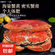 熟凍面包蟹海鮮水產(chǎn)熟凍黃金蟹珍寶蟹 500-600g/只*2只