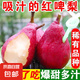 京喜加【放軟純甜爆汁】正宗紅啤梨太婆梨水果新鮮紅寶石梨猴哥 帶箱5斤大果