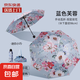 雙面黑膠雙花雙層太陽傘防曬紫外晴雨兩用遮陽反向雨傘雙層防曬傘 【五折8骨】雙面雙花-藍(lán)色芙蓉