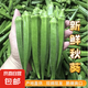 新鮮現(xiàn)摘水果秋葵清脆爽口蔬菜黃秋葵產(chǎn)地直發(fā)鮮嫩羊角豆涼拌菜 5斤裝一級果【現(xiàn)摘現(xiàn)發(fā)】