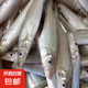 深海野生小沙丁魚 深海捕撈無添加高DHA低脂 500g/盒一斤40條左右 野生沙丁魚凈重4斤