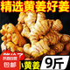 云南小黃姜新鮮老姜10斤沙姜仔姜月子姜南姜農(nóng)家現(xiàn)挖干姜生姜批發(fā) 9斤 【正宗小黃姜】源頭直采包郵