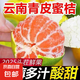 [碭果爭先]當(dāng)季新鮮青皮橘子酸甜云南蜜桔柑橘果園現(xiàn)摘水果京東 蜜桔1斤裝