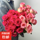 弗洛伊德向日葵香檳玫瑰花混搭畢業(yè)季斗南基地直發(fā)水養(yǎng)插花鮮切花 10支艾莎+10支弗洛伊德