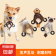 寵物玩具 燈芯絨狗狗發(fā)聲磨牙毛絨玩具帶橡膠環(huán)耐咬互動(dòng)玩樂用品 雙手拉環(huán)動(dòng)物毛絨玩具-猴子 全部