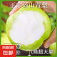 正宗碭山青梨脆甜多汁Dzq 正宗碭山青皮梨帶箱3斤