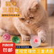 【京東快遞】貓咪玩具球貓薄荷狗狗閃光發(fā)光球鈴鐺球玩具解悶神器 紅色球1個【鈴鐺款】