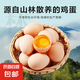 京喜加 鮮雞蛋 土雞蛋  五谷喂養(yǎng) 山林自養(yǎng)雞蛋溏心蛋早餐京東包郵40g 4枚40g左右