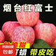 山東煙臺紅富士水果蘋果香甜可口肉厚多汁 凈重2.5-3斤