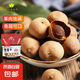 莆田 桂圓龍眼干 新貨福建桂圓干 非無核桂圓肉煲湯食用 【果徑2.0-2.2cm】 桂圓干500克