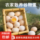新鮮土雞蛋現(xiàn)撿現(xiàn)發(fā)谷物雞蛋初生蛋月子雞蛋40g左右早餐買菜 【京東物流】30枚裝