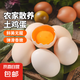大碼雞蛋50g正負(fù)5g/枚散養(yǎng)土雞蛋新鮮雞蛋溏心蛋早餐必備京東包郵 10枚土雞蛋50g