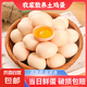 京喜加 鮮雞蛋 土雞蛋  五谷喂養(yǎng) 山林自養(yǎng)雞蛋早餐 生鮮超市買菜40g 6枚 40-50