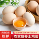 京喜加土雞蛋 新鮮雞蛋山林自養(yǎng) 生鮮溏心蛋 鹵蛋早餐京東買菜40g正負(fù)5g 12枚裝總重480g+