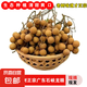 正宗廣東石峽龍眼50年老樹(shù)現(xiàn)摘新鮮飽滿口感清甜生態(tài)種植老少咸宜 精選正宗老樹(shù)石峽龍眼凈重10斤