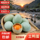 鴨蛋正宗新鮮土鴨蛋農家散養(yǎng)綠殼青皮鴨蛋20枚整箱批發(fā)生鮮超市 60g-70g