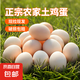農(nóng)家新鮮現(xiàn)撿土雞蛋谷物飼養(yǎng)新鮮雞蛋柴雞蛋約40g/枚左右早餐買菜 10枚
