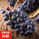 新鮮無籽夏黑葡萄香皂工廠桃子顯摘葡萄青提生鮮提子生鮮館肉多多 夏黑葡萄超甜帶箱1.2斤凈重1斤