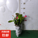 蟹爪蘭多色盆栽四季家養(yǎng)花卉辦公桌面陽(yáng)臺(tái)庭院多肉綠植 30顆頭（不帶盆）高度25cm冠幅10cm