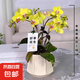 【蝴蝶蘭盆栽帶盆】帶花帶花苞室內(nèi)花卉高端綠植年貨喜慶植物花卉 黃色系3劍蝴蝶蘭【品種隨機】北歐盆