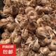 藥用藏紅花種球盆栽耐寒耐凍花卉番紅花種子苗室內(nèi)室外藥材種植苗 【特大號球】藏紅花大種球20顆+4 12+