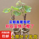 【買一送一】正宗葡萄樹苗盆栽地栽南方北方種植耐寒庭院果樹苗木 0.8cm（含）-1cm（不含） 組合 【陽光玫瑰+巨峰】帶土帶葉+肥