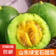 山東綠寶石甜瓜 當(dāng)季新鮮現(xiàn)摘薄皮香脆瓜水果整箱 綠寶石甜瓜凈重4.5-5斤4-12個裝