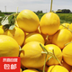 甘肅沙漠民勤蜜瓜當季新鮮甜瓜蜜瓜金紅寶黃河蜜黃肉黃皮香瓜 凈重8-9斤 2-3枚裝