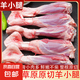 原切羊小腿新鮮羊肉羊腱子兒童夏季廚房必備火鍋燒烤生鮮食材批發(fā) 5斤 原切羊小腿