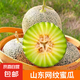 山東網(wǎng)紋蜜瓜 玫瓏冰淇淋蜜瓜當(dāng)季新鮮水果整箱 網(wǎng)紋蜜瓜凈重3.5-4斤2-3個(gè)