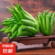佛手柑云南新鮮佛手果柑應季單個大佛手柑鮮果食用清供把玩聞香 單果800-1000g 1個 發(fā)貨均為綠色，長時間擺放會變黃