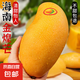 金煌芒果新鮮水果 帶箱2斤【單果140-200g】