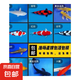 錦鯉魚活體觀賞魚活魚小型易養(yǎng)冷水淡水魚小魚苗錦鯉金魚好看錦鯉 8-10cm 五彩錦鯉混搭5條