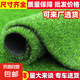 仿真草坪地毯人造人工草皮綠色戶外裝飾假草塑料墊子陽臺幼兒園 2厘米加厚春草（4米寬*10米長）