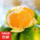 【酸甜多汁】青皮蜜橘新鮮多汁當(dāng)季薄皮桔子應(yīng)季新鮮采摘整箱 蜜桔帶箱5斤