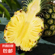 云南黑鉆鳳梨 新鮮水果非菠蘿手撕鳳梨產地直發(fā) 1個裝 單果1.3斤起